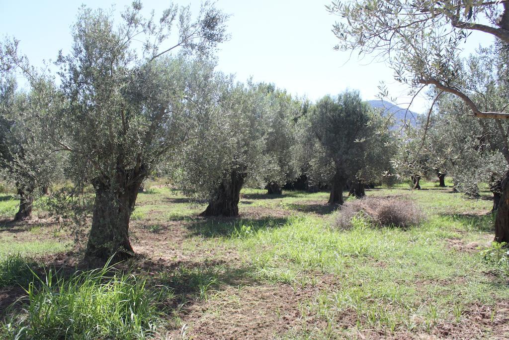 Καρυά Διαμέρισμα Πέτρα Δωμάτιο φωτογραφία